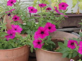 img0002.jpg