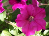 img0006.jpg