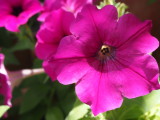 img0007.jpg