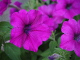 img0008.jpg