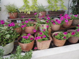 img0009.jpg