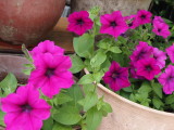 img0011.jpg