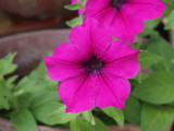 img0012.jpg