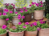 img0015.jpg