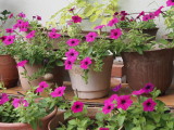 img0016.jpg