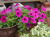 img0019.jpg