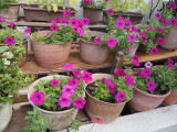 img0022.jpg