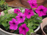 img0023.jpg