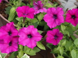 img0025.jpg