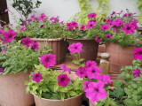 img0002.jpg