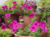 img0003.jpg