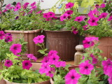 img0004.jpg