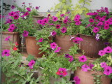 img0006.jpg