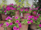 img0007.jpg