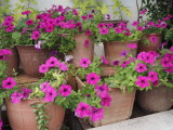 img0008.jpg